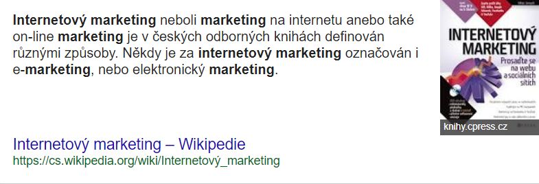 internetový marketing neboli marketing na internetu anebo také on-line marketing je v českých odborných knihách definován různými způsoby. Někdy je za internetový marketing označován i e-marketing, nebo elektronický marketing. Ale toto označení není správné, protože e-marketing zahrnuje veškerý elektronický marketing, tedy včetně internetového marketingu, mobilního marketingu, online televize. Do budoucna to může být i přímá komunikace domácí ledničky s on-line obchodem. Internetový marketing v současné době v elektronickém marketingu zaujímá největší podíl. Další pojem, který je v souvislosti s internetovým marketingem používán, je e-business. E-businessem je nazývána obchodní aktivita, která probíhá prostřednictvím informačních technologií a zahrnuje digitální online komunikaci, online výzkum, ale také online marketing. A posledním důležitým termínem, který není stále přesně používán, je termín online reklama. V užším pojetí jde o stejný termín jako internetová reklama. V širším pojetí zahrnuje veškerou reklamu, která se šíří jakýmikoliv elektronickými kanály (médii), tedy je to i mobilní reklama, reklama vztažená k místu – GPS, internetová reklama.